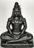 Shiva in Stillness